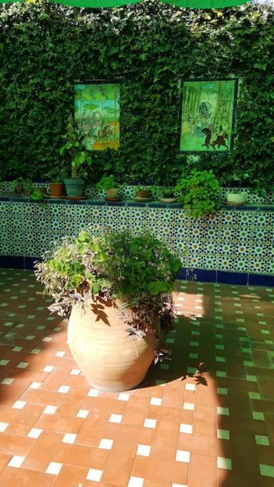 Sevilla A Tus Pies Mairena del Aljarafe Exteriér fotografie