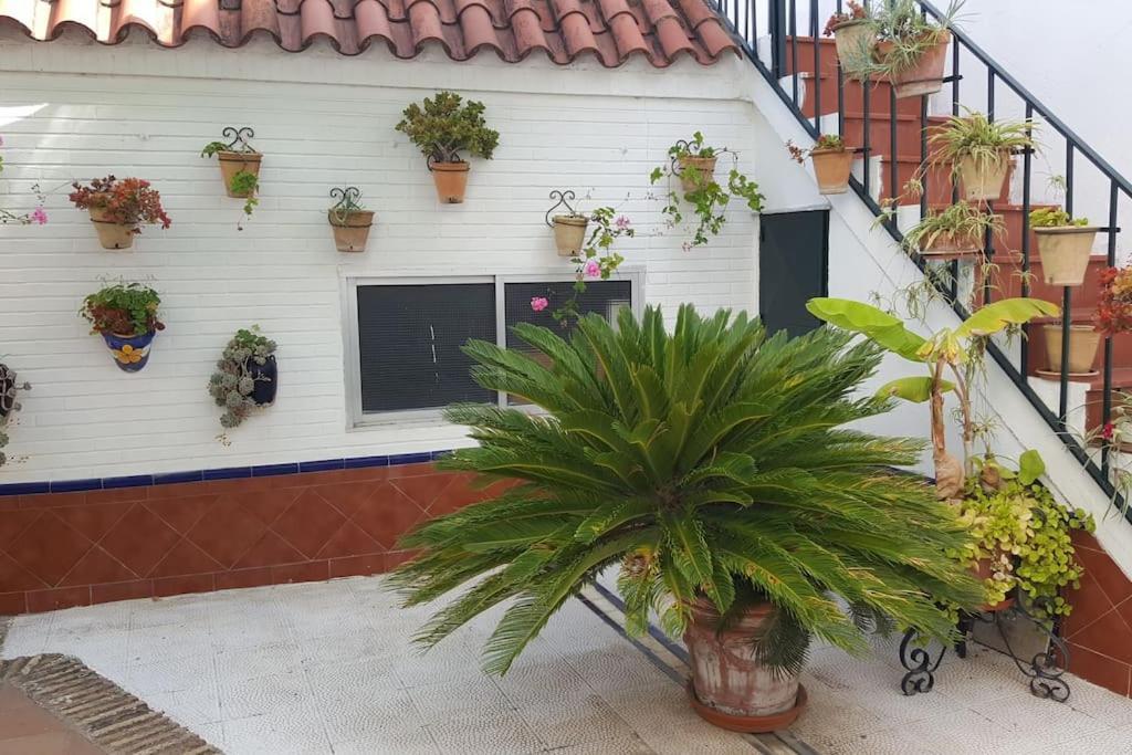 Sevilla A Tus Pies Mairena del Aljarafe Exteriér fotografie